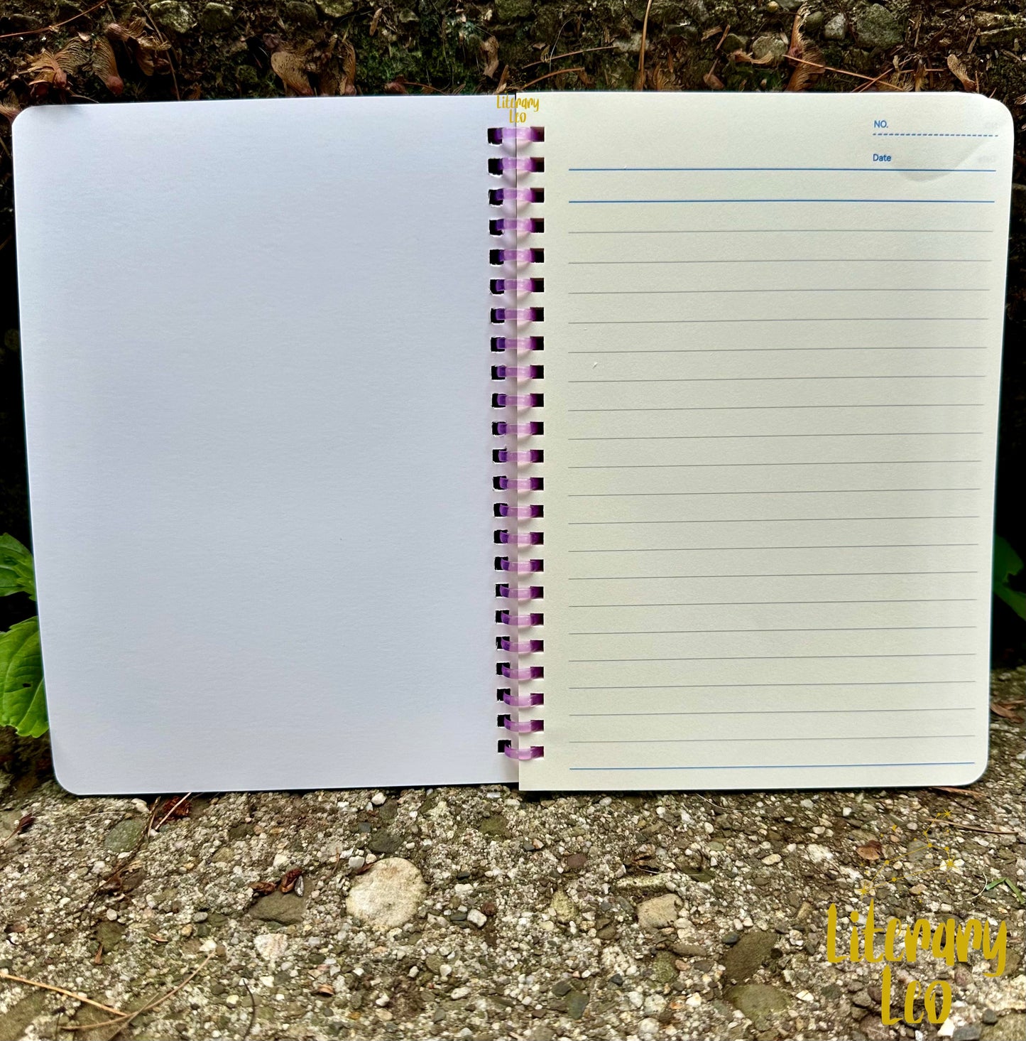 Quoth The Raven Holographic Notebook
